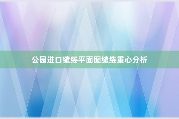 公园进口缱绻平面图缱绻重心分析
