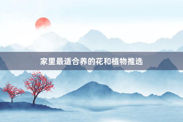 家里最适合养的花和植物推选