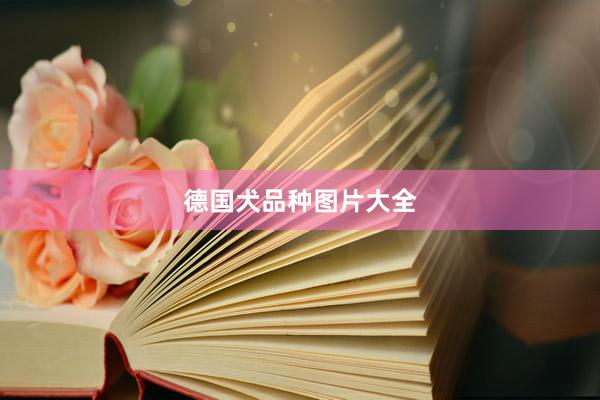 德国犬品种图片大全